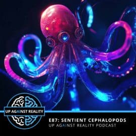 E87: Sentient Cephalopods