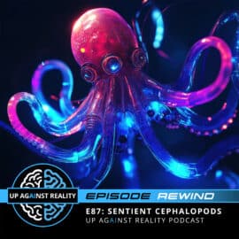 Episode Rewind: E87: Sentient Cephalopods