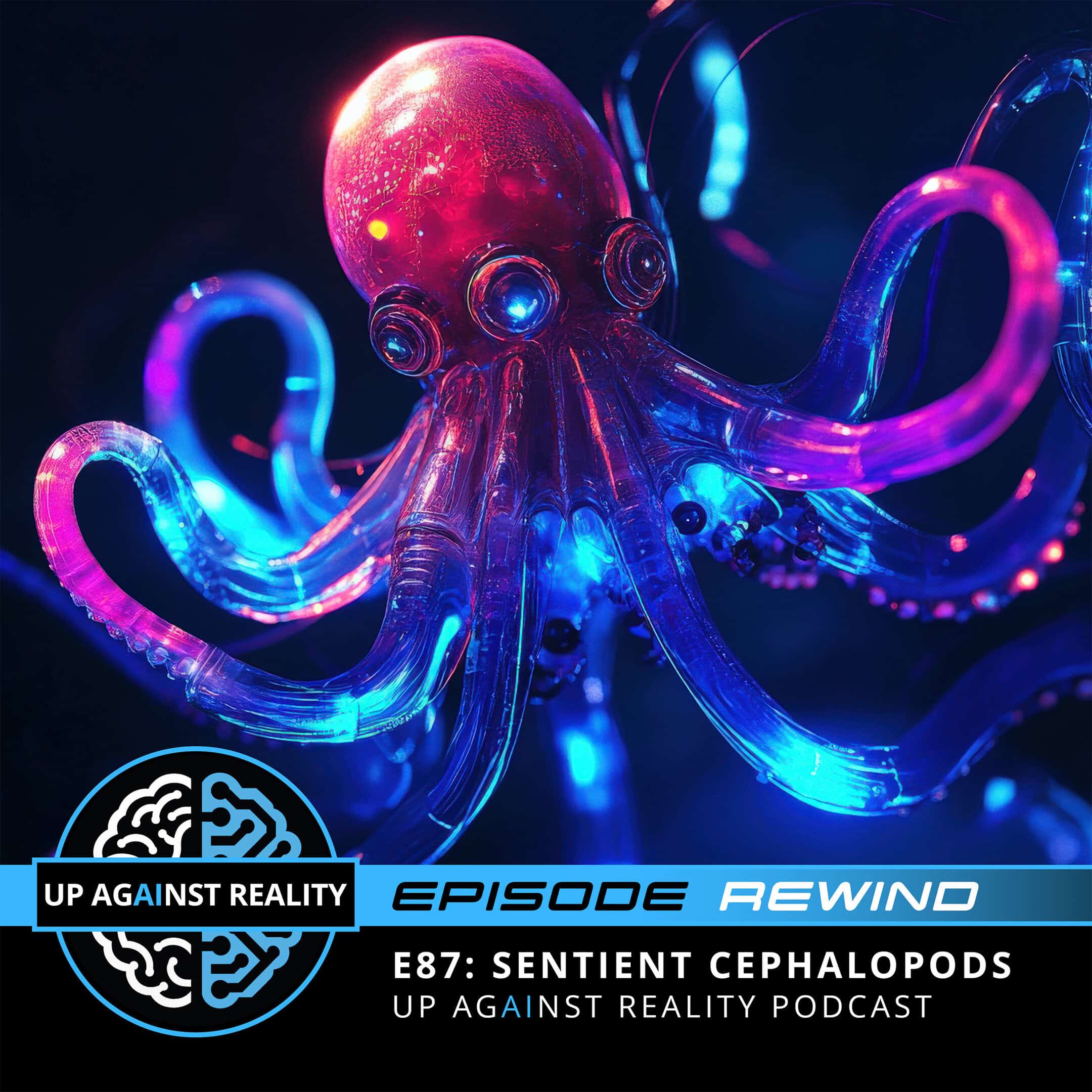 Episode Rewind:
E87: Sentient Cephalopods